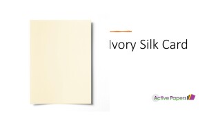 Ivory Tint Silk Card 150 or 350gsm
