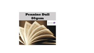 Pennine Bookwove 80gsm Dull White