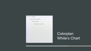 135gsm Colorplan Pebble Textured Ice White Wove  Long or Short Grain All Sizes NEW ITEM
